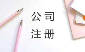 芜湖小公司成立有哪些流程